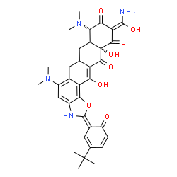 ChemSpider 2D Image | (2Z,8S,10Z,11aS)-10-[Amino(hydroxy)methylene]-5,8-bis(dimethylamino)-11a,13-dihydroxy-2-[3-(2-methyl-2-propanyl)-6-oxo-2,4-cyclohexadien-1-ylidene]-3,6,6a,7,7a,11a-hexahydrotetraceno[2,1-d][1,3]oxazol
e-9,11,12(2H,8H,10H)-trione | C34H38N4O8