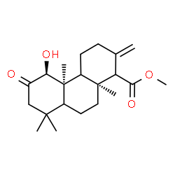 ChemSpider 2D Image | Methyl (1beta,5xi,8alpha,9xi,10alpha)-1-hydroxy-8-methyl-13-methylene-2-oxopodocarpane-14-carboxylate | C21H32O4
