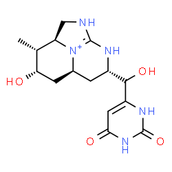 ChemSpider 2D Image | (2aS,3R,4S,5aS,7S)-7-[(R)-(2,6-Dioxo-1,2,3,6-tetrahydro-4-pyrimidinyl)(hydroxy)methyl]-4-hydroxy-3-methyl-1,2,2a,3,4,5,5a,6,7,8-decahydro-1,8-diaza-8b-azoniaacenaphthylene | C15H22N5O4
