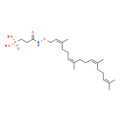 ChemSpider 2D Image | [3-Oxo-3-({[(2Z,6Z,10Z)-3,7,11,15-tetramethyl-2,6,10,14-hexadecatetraen-1-yl]oxy}amino)propyl]phosphonic acid | C23H40NO5P