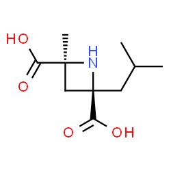 ChemSpider 2D Image | (2R,4S)-2-Isobutyl-4-methyl-2,4-azetidinedicarboxylic acid | C10H17NO4