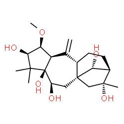 ChemSpider 2D Image | (2beta,3beta,6beta,14R)-2-Methoxygrayanotox-10-ene-3,5,6,14,16-pentol | C21H34O6
