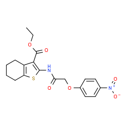 ChemSpider 2D Image | Ethyl 2-{[(4-nitrophenoxy)acetyl]amino}-4,5,6,7-tetrahydro-1-benzothiophene-3-carboxylate | C19H20N2O6S