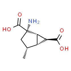ChemSpider 2D Image | (1S,2S,4R,5R,6S)-2-Amino-4-methylbicyclo[3.1.0]hexane-2,6-dicarboxylic acid | C9H13NO4
