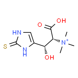 ChemSpider 2D Image | (1R,2S)-1-Carboxy-2-hydroxy-N,N,N-trimethyl-2-(2-thioxo-2,3-dihydro-1H-imidazol-4-yl)ethanaminium | C9H16N3O3S