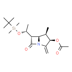 ChemSpider 2D Image | (3R,4R,5R,6S)-6-[(1R)-1-{[Dimethyl(2-methyl-2-propanyl)silyl]oxy}ethyl]-4-methyl-2-methylene-7-oxo-1-azabicyclo[3.2.0]hept-3-yl acetate | C18H31NO4Si