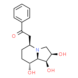 ChemSpider 2D Image | 1-Phenyl-2-[(1S,2R,5S,8R,8aR)-1,2,8-trihydroxyoctahydro-5-indolizinyl]ethanone | C16H21NO4
