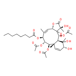 ChemSpider 2D Image | (1S,3aS,4Z,6S,7R,8R,8aS,11R,12S,12aS,13R,13aS)-7,8,13-Triacetoxy-1,11,12,13a-tetrahydroxy-1,5,8a,12-tetramethyl-2-oxo-1,2,3a,6,7,8,8a,11,12,12a,13,13a-dodecahydrobenzo[4,5]cyclodeca[1,2-b]furan-6-yl o
ctanoate | C34H50O14