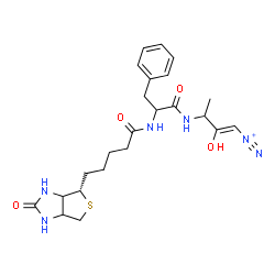 ChemSpider 2D Image | (1Z)-2-Hydroxy-3-[(N-{5-[(4S)-2-oxohexahydro-1H-thieno[3,4-d]imidazol-4-yl]pentanoyl}phenylalanyl)amino]-1-butene-1-diazonium | C23H31N6O4S