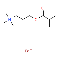 ChemSpider 2D Image | 3-(Isobutyryloxy)-N,N,N-trimethyl-1-propanaminium bromide | C10H22BrNO2