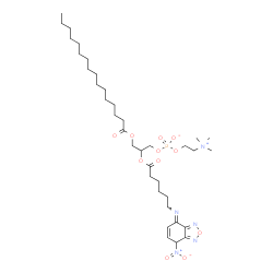 ChemSpider 2D Image | 2-({6-[(E)-(7-Nitro-2,1,3-benzoxadiazol-4(7H)-ylidene)amino]hexanoyl}oxy)-3-(palmitoyloxy)propyl 2-(trimethylammonio)ethyl phosphate | C36H62N5O11P