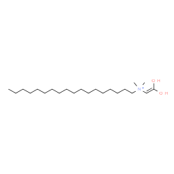 ChemSpider 2D Image | N-(2,2-Dihydroxyvinyl)-N,N-dimethyl-1-octadecanaminium | C22H46NO2