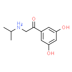 ChemSpider 2D Image | N-[2-(3,5-Dihydroxyphenyl)-2-oxoethyl]-2-propanaminium | C11H16NO3