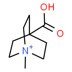 ChemSpider 2D Image | 4-Carboxy-1-methyl-1-azoniabicyclo[2.2.2]octane | C9H16NO2