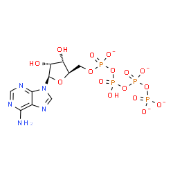 ChemSpider 2D Image | 5'-O-{[(Hydroxy{[(phosphonatooxy)phosphinato]oxy}phosphoryl)oxy]phosphinato}adenosine | C10H13N5O16P4
