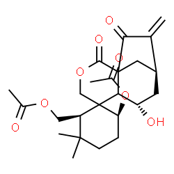 ChemSpider 2D Image | [(2R,6S,7'S,9'R)-6-Acetoxy-7'-hydroxy-3,3-dimethyl-10'-methylene-2',11'-dioxo-3'-oxaspiro[cyclohexane-1,5'-tricyclo[7.2.1.0~1,6~]dodecan]-2-yl]methyl acetate | C24H32O8