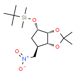 ChemSpider 2D Image | {[(3aR,4S,6R,6aR)-2,2-Dimethyl-6-(nitromethyl)tetrahydro-3aH-cyclopenta[d][1,3]dioxol-4-yl]oxy}(dimethyl)(2-methyl-2-propanyl)silane | C15H29NO5Si