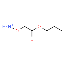ChemSpider 2D Image | (2-Oxo-2-propoxyethoxy)ammonium | C5H12NO3
