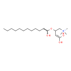 ChemSpider 2D Image | 4,4-Dihydroxy-2-{[(1E)-1-hydroxy-1-dodecen-1-yl]oxy}-N,N,N-trimethyl-3-buten-1-aminium | C19H38NO4