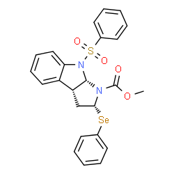 ChemSpider 2D Image | Methyl (2R,3aR,8aS)-2-(phenylselanyl)-8-(phenylsulfonyl)-3,3a,8,8a-tetrahydropyrrolo[2,3-b]indole-1(2H)-carboxylate | C24H22N2O4SSe