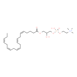 ChemSpider 2D Image | (14Z,17Z,20Z,23Z,26Z)-4,7-Dihydroxy-N,N,N-trimethyl-10-oxo-3,5,9-trioxa-4-phosphanonacosa-14,17,20,23,26-pentaen-1-aminium 4-oxide | C28H49NO7P