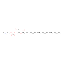 ChemSpider 2D Image | 3-Hydroxy-2-{[(1E,5E,8E,11E,14E,17E)-1-hydroxy-1,5,8,11,14,17-icosahexaen-1-yl]oxy}propyl 2-(trimethylammonio)ethyl phosphate | C28H48NO7P