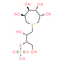 ChemSpider 2D Image | (3S,4S,5S,6S)-1-[(2S,3S)-2,4-Dihydroxy-3-(sulfooxy)butyl]-3,4,5,6-tetrahydroxythiepanium | C10H21O10S2