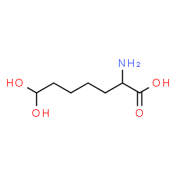 ChemSpider 2D Image | 2-Amino-7,7-dihydroxyheptanoic acid | C7H15NO4