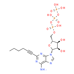 ChemSpider 2D Image | 2-(1-Hexyn-1-yl)adenosine 5'-(tetrahydrogen triphosphate) | C16H24N5O13P3