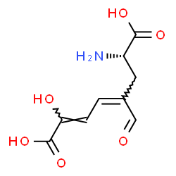 ChemSpider 2D Image | (2Z,4Z,7S)-7-Amino-5-formyl-2-hydroxy-2,4-octadienedioic acid | C9H11NO6