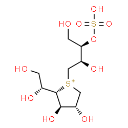ChemSpider 2D Image | (2S,3R,4R)-2-[(1R)-1,2-Dihydroxyethyl]-1-[(2R,3R)-2,4-dihydroxy-3-(sulfooxy)butyl]-3,4-dihydroxytetrahydrothiophenium | C10H21O10S2