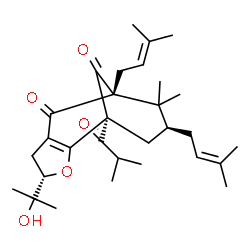 ChemSpider 2D Image | (1S,4S,8R,10S)-4-(2-Hydroxy-2-propanyl)-1-isobutyryl-9,9-dimethyl-8,10-bis(3-methyl-2-buten-1-yl)-3-oxatricyclo[6.3.1.0~2,6~]dodec-2(6)-ene-7,12-dione | C30H44O5