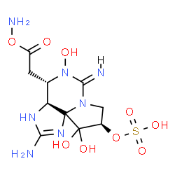ChemSpider 2D Image | (3aS,4S,6Z,9R)-2-Amino-4-[2-(aminooxy)-2-oxoethyl]-5,10,10-trihydroxy-6-imino-3a,4,5,6,9,10-hexahydro-3H,8H-pyrrolo[1,2-c]purin-9-yl hydrogen sulfate | C10H17N7O9S