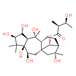ChemSpider 2D Image | (2alpha,3beta,6beta,14R)-2,3,5,6,10,16-Hexahydroxygrayanotoxan-14-yl (2S,3S)-3-hydroxy-2-methylbutanoate | C25H42O9