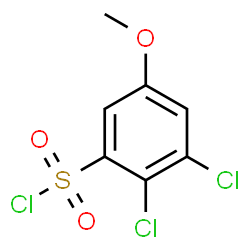 ChemSpider 2D Image | 2,3-Dichloro-5-methoxybenzenesulfonyl chloride | C7H5Cl3O3S