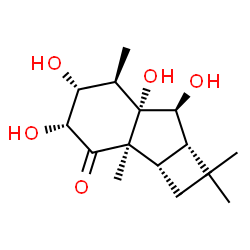 ChemSpider 2D Image | (2aS,2bR,4R,5R,6R,6aS,7S,7aS)-4,5,6a,7-Tetrahydroxy-1,1,2b,6-tetramethyldecahydro-3H-cyclobuta[a]inden-3-one | C15H24O5