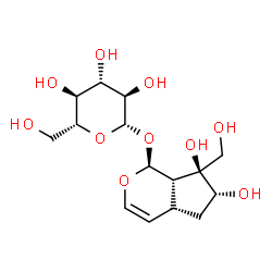 ChemSpider 2D Image | (1S,4aR,6R,7S,7aS)-6,7-Dihydroxy-7-(hydroxymethyl)-1,4a,5,6,7,7a-hexahydrocyclopenta[c]pyran-1-yl beta-D-glucopyranoside | C15H24O10