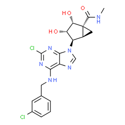 ChemSpider 2D Image | (1R,2R,3S,4R,5R)-4-{2-Chloro-6-[(3-chlorobenzyl)amino]-9H-purin-9-yl}-2,3-dihydroxy-N-methylbicyclo[3.1.0]hexane-1-carboxamide | C20H20Cl2N6O3