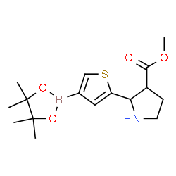 ChemSpider 2D Image | Methyl 2-[4-(4,4,5,5-tetramethyl-1,3,2-dioxaborolan-2-yl)-2-thienyl]-3-pyrrolidinecarboxylate | C16H24BNO4S