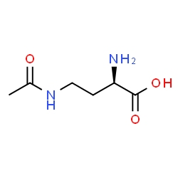 ChemSpider 2D Image | (2R)-4-Acetamido-2-aminobutanoic acid | C6H12N2O3