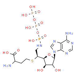 ChemSpider 2D Image | 2-Amino-4-({(1S)-1-[(2S,3R,5R)-5-(6-amino-9H-purin-9-yl)-3,4-dihydroxytetrahydro-2-furanyl]-2-[(hydroxy{[hydroxy(phosphonooxy)phosphoryl]oxy}phosphoryl)amino]ethyl}sulfanyl)butanoic acid (non-preferre
d name) | C15H26N7O14P3S