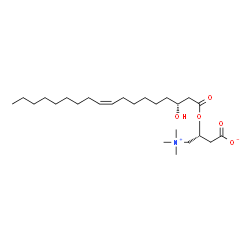 ChemSpider 2D Image | (3R)-3-{[(3R,9Z)-3-Hydroxy-9-octadecenoyl]oxy}-4-(trimethylammonio)butanoate | C25H47NO5