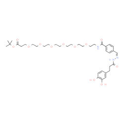 ChemSpider 2D Image | 2-Methyl-2-propanyl 1-{4-[(Z)-{[3-(3,4-dihydroxyphenyl)propanoyl]hydrazono}methyl]phenyl}-1-oxo-5,8,11,14,17,20-hexaoxa-2-azatricosan-23-oate | C36H53N3O12