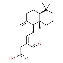 ChemSpider 2D Image | (3Z)-3-Formyl-5-[(1S,4aS,8aS)-5,5,8a-trimethyl-2-methylenedecahydro-1-naphthalenyl]-3-pentenoic acid | C20H30O3