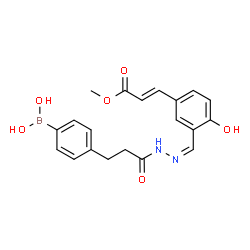 ChemSpider 2D Image | (4-{3-[(2Z)-2-{2-Hydroxy-5-[(1E)-3-methoxy-3-oxo-1-propen-1-yl]benzylidene}hydrazino]-3-oxopropyl}phenyl)boronic acid | C20H21BN2O6