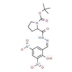ChemSpider 2D Image | 2-Methyl-2-propanyl 2-{[(2Z)-2-(2-hydroxy-3,5-dinitrobenzylidene)hydrazino]carbonyl}-1-pyrrolidinecarboxylate (non-preferred name) | C17H21N5O8