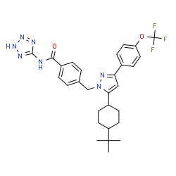 ChemSpider 2D Image | 4-({5-[4-(2-Methyl-2-propanyl)cyclohexyl]-3-[4-(trifluoromethoxy)phenyl]-1H-pyrazol-1-yl}methyl)-N-(2H-tetrazol-5-yl)benzamide | C29H32F3N7O2