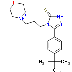 InChI=1/C19H28N4OS/c1-19(2,3)16-7-5-15(6-8-16)17-20-21-18(25)23(17)10-4-9-22-11-13-24-14-12-22/h5-8H,4,9-14H2,1-3H3,(H,21,25)/p+1