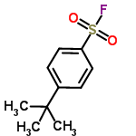 InChI=1/C10H13FO2S/c1-10(2,3)8-4-6-9(7-5-8)14(11,12)13/h4-7H,1-3H3