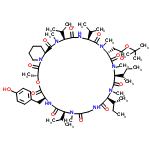 InChI=1/C60H97N9O14/c1-20-36(9)49-51(73)61-32-44(71)65(16)47(34(5)6)52(74)62-41(30-39-25-27-40(70)28-26-39)59(81)82-38(11)54(76)69-29-23-22-24-42(69)55(77)66(17)48(35(7)8)53(75)63-46(33(3)4)57(79)64(15)43(31-45(72)83-60(12,13)14)56(78)68(19)50(37(10)21-2)58(80)67(49)18/h25-28,33-38,41-43,46-50,70H,20-24,29-32H2,1-19H3,(H,61,73)(H,62,74)(H,63,75)/t36-,37+,38-,41+,42+,43-,46+,47+,48+,49+,50+/m1/s1